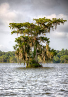 1DT_1011 Lake Martin