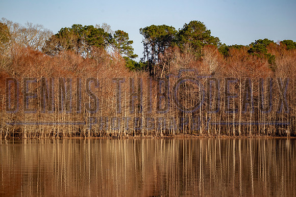 _M0E0221
