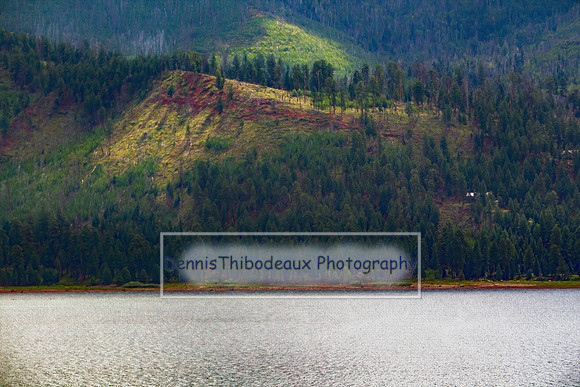 Vallecito Painting