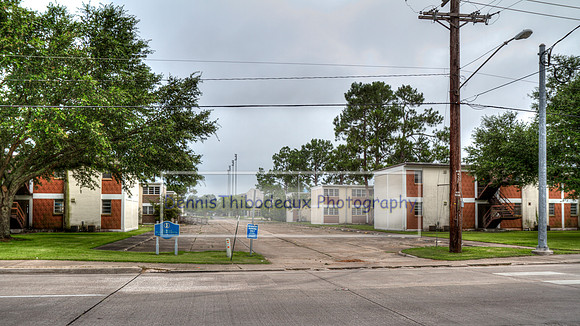 Pine Haven