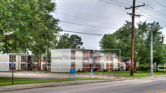 Pine Haven2
