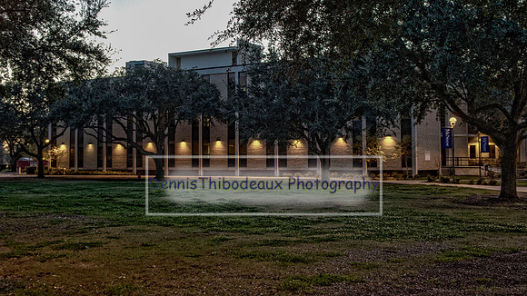 _MG_3524