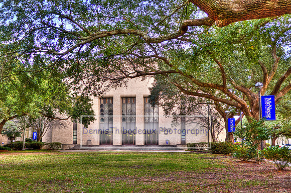 MSU Bulber Aud_6858