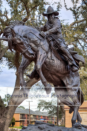 MSU Cowboy_6879