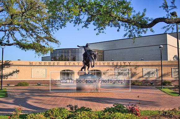 MSU campus