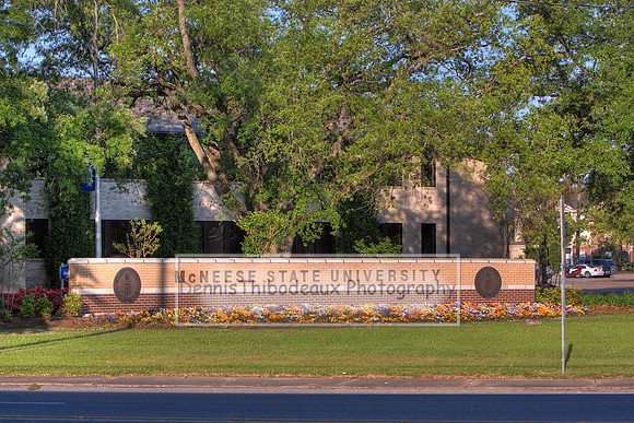 MSU campus3
