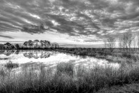 _M0E2216a b&w