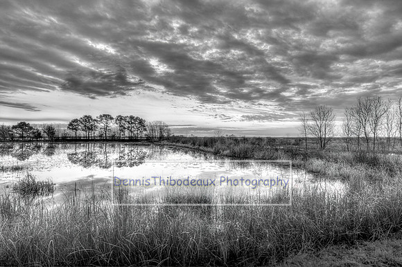 _M0E2216a b&w