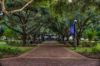 McNeese State University