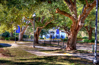 McNeese _MG_5746