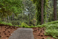 _MG_9298a