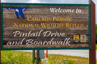 Creole Nature Trail - Pintail Drive 5/17/25