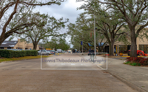 McNeese - Beauregard looking east from Ryan St_I6V2448