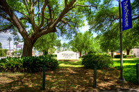 McNeese HDR