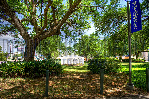 McNeese HDR