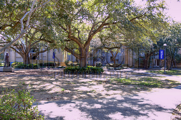 McNeese _MG_5752