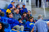 1DT_8095-DeLauney