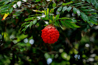 DT3_2308