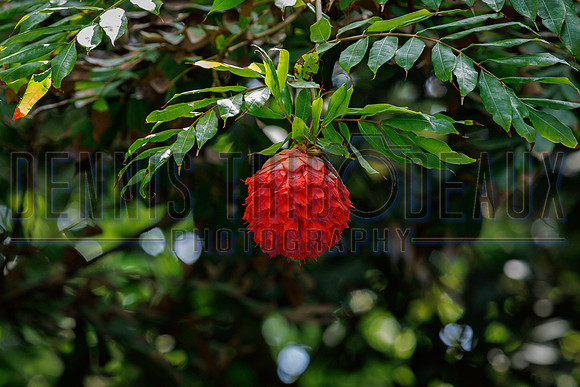 DT3_2308
